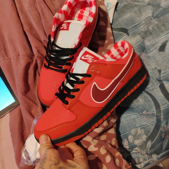 Nicole Hause Clearance \u0026#039;sb Shoes Low Authentic Nike Sb Dunks For Sale  Nike Nicole Hause X Dunk Pro